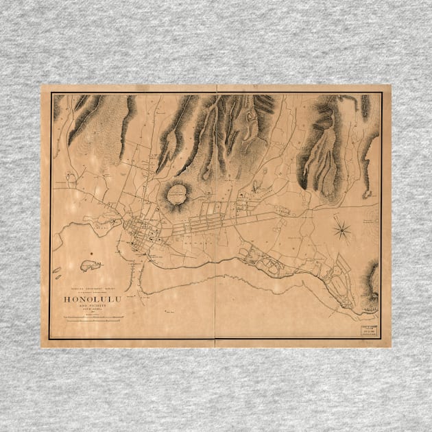 Vintage Map of Honolulu Hawaii (1887) by Bravuramedia